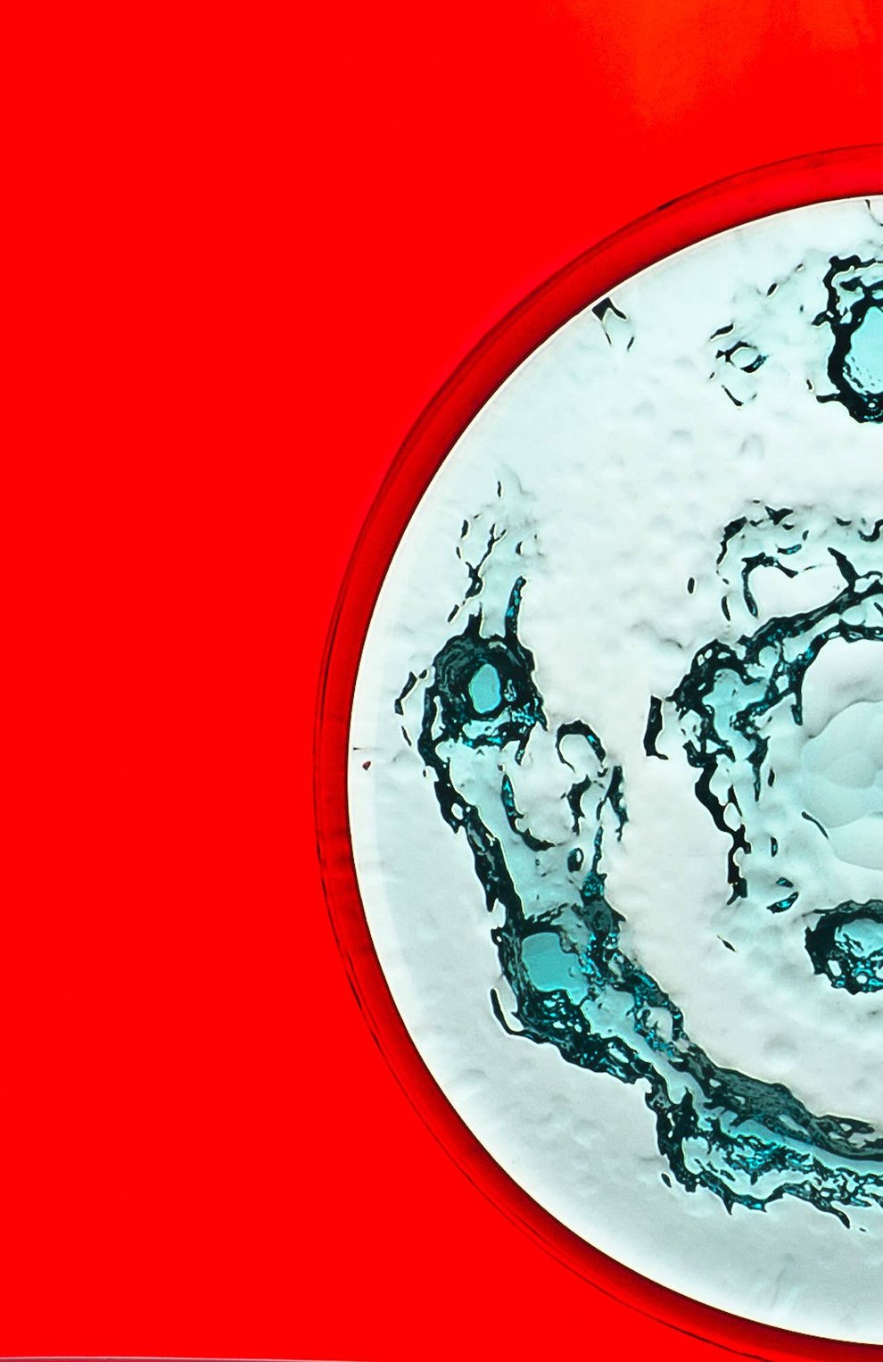 Декоративное блюдо VENINI, арт. FI352901000X0AE2, фото 2