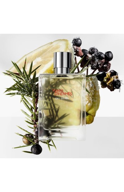 Парфюмерная вода terre d`hermes eau givree (50ml) HERMÈS, арт. 3346130012375, фото 3