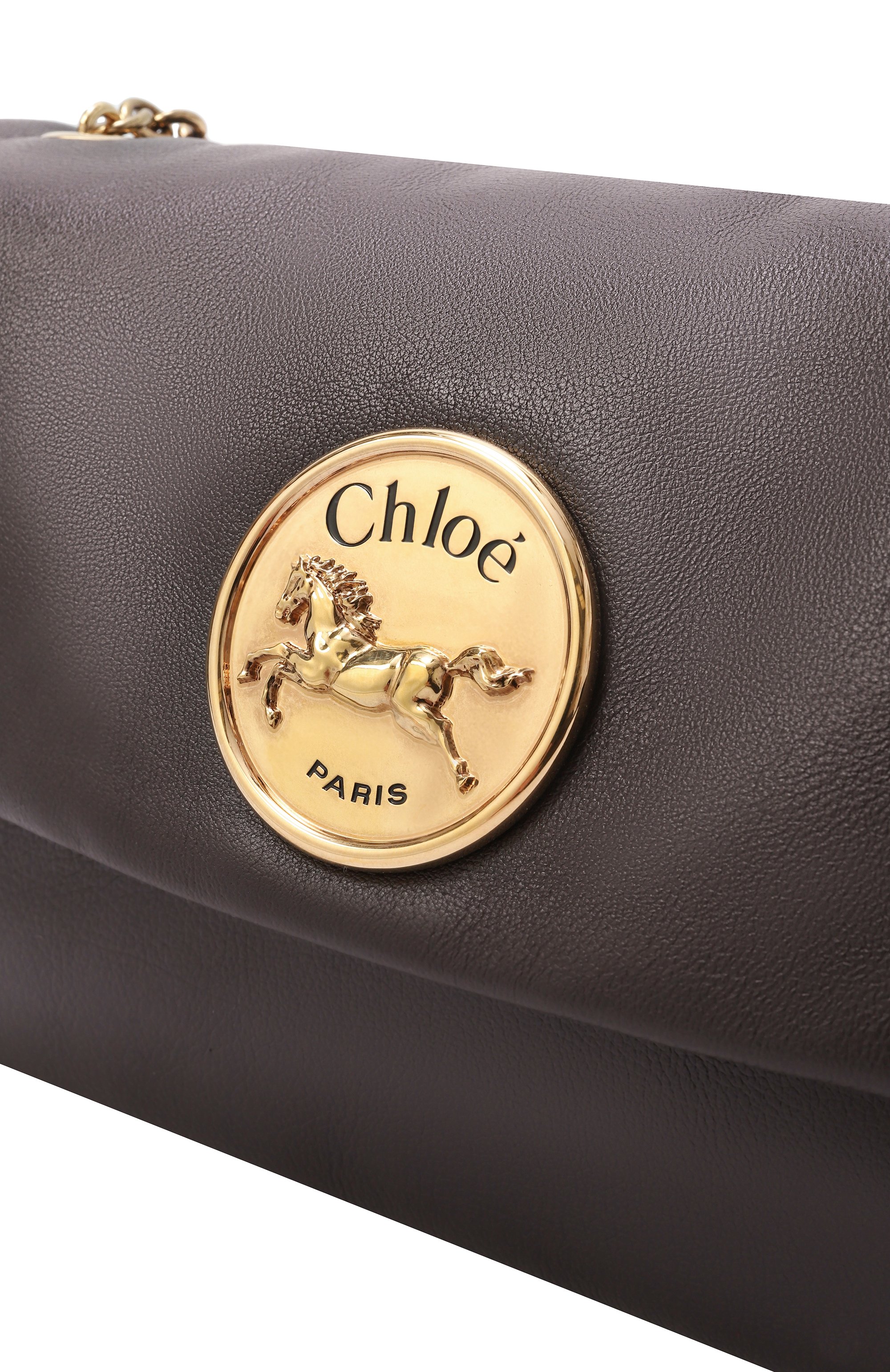 Сумка chloé heritage CHLOÉ, арт. CHC25AS584P75, фото 3