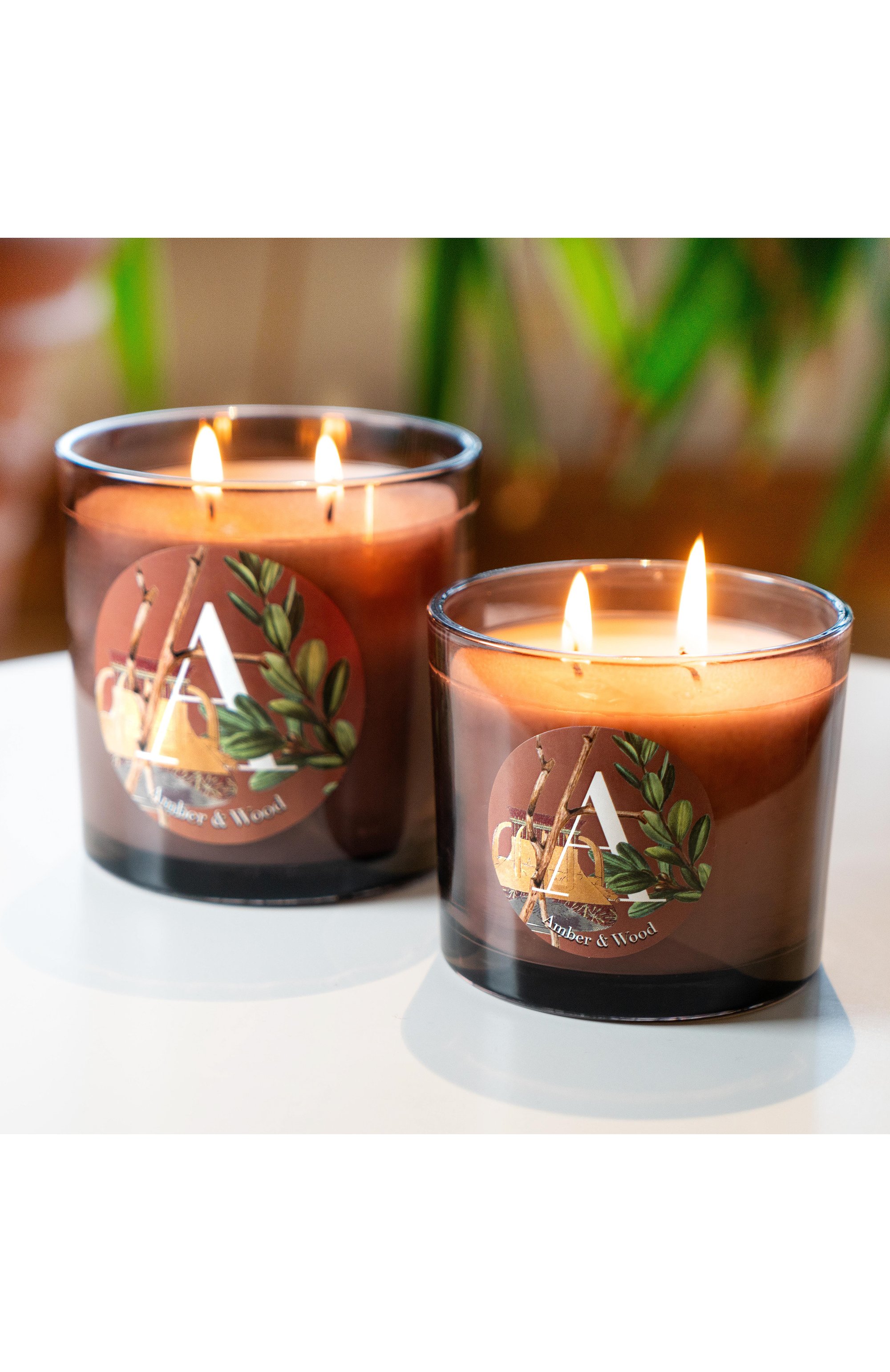 Свеча amber & wood (200g) PERNICI, арт. 8001962089388, фото 3