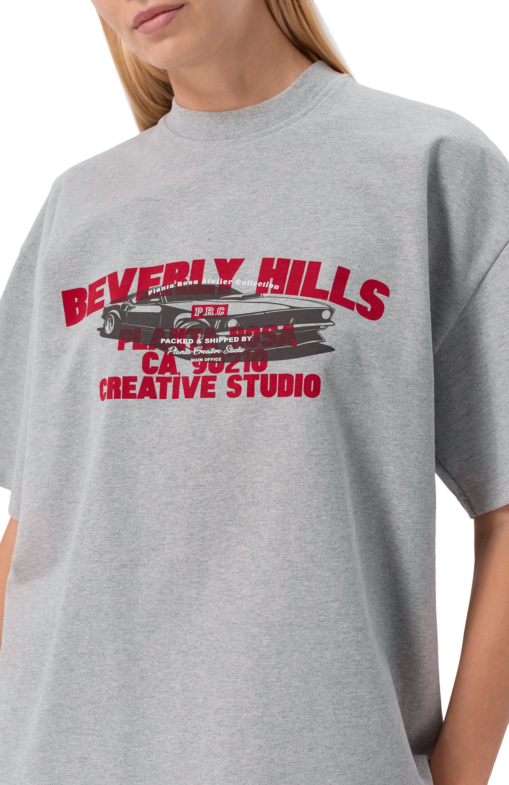 Хлопковая футболка PLANTA ROSA, арт. PR/T02/BEVERLY-MOMENTUM/300VELVET, фото 8