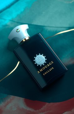 Мужской парфюмерная вода enclave (100ml) AMOUAGE бесцветного цвета, арт. 40002 | Фото 6 (Региональные ограничения белый список (Axapta Mercury): Не проставлено; Нос: Не проставлено; Тип продукта - парфюмерия: Парфюмерная вода; Ограничения доставки: flammable)