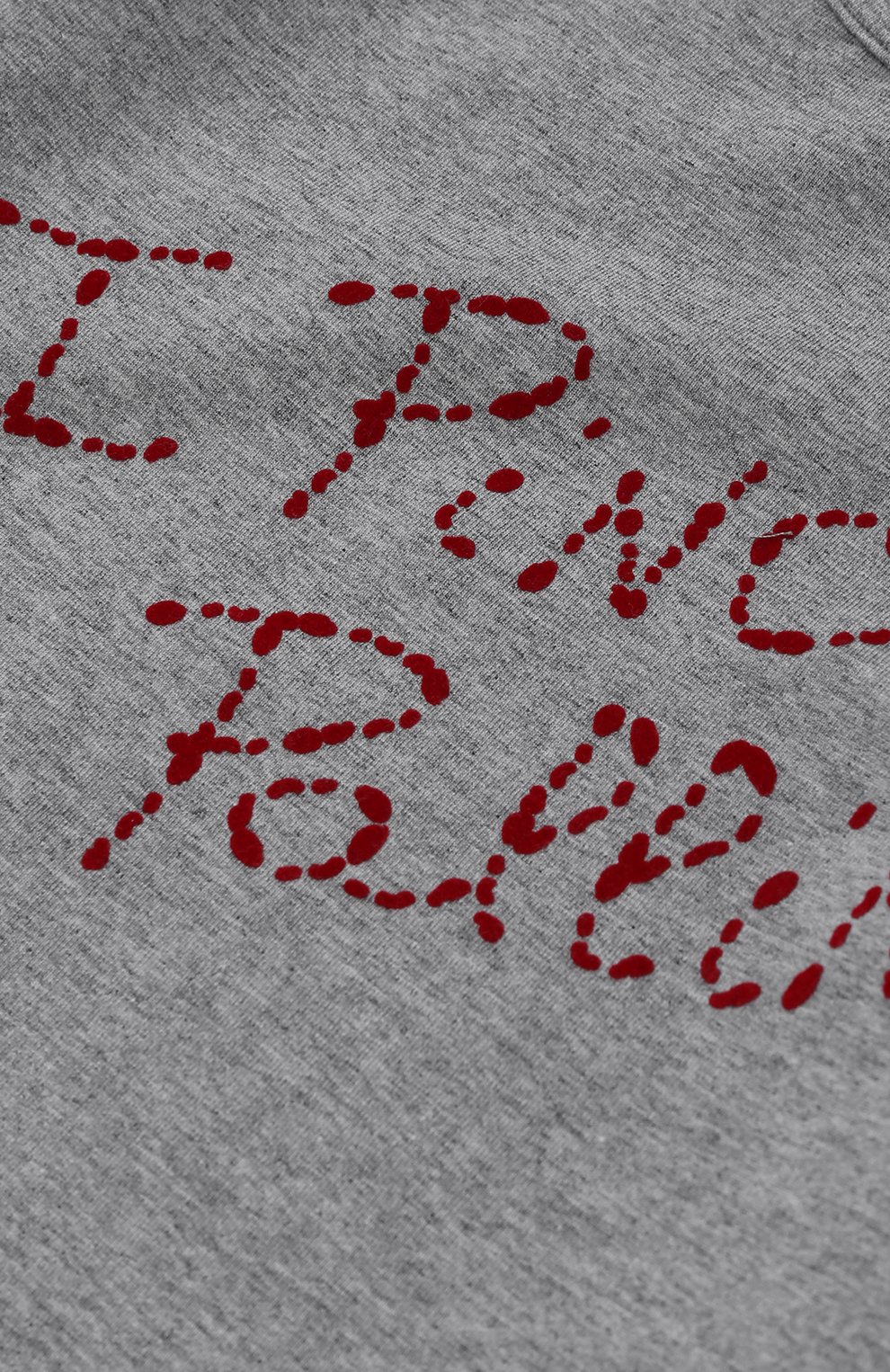 Лонгслив с принтом I PINCO PALLINO, арт. 1702126007/07535/8-10, фото 3