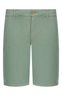 Светло-зеленый