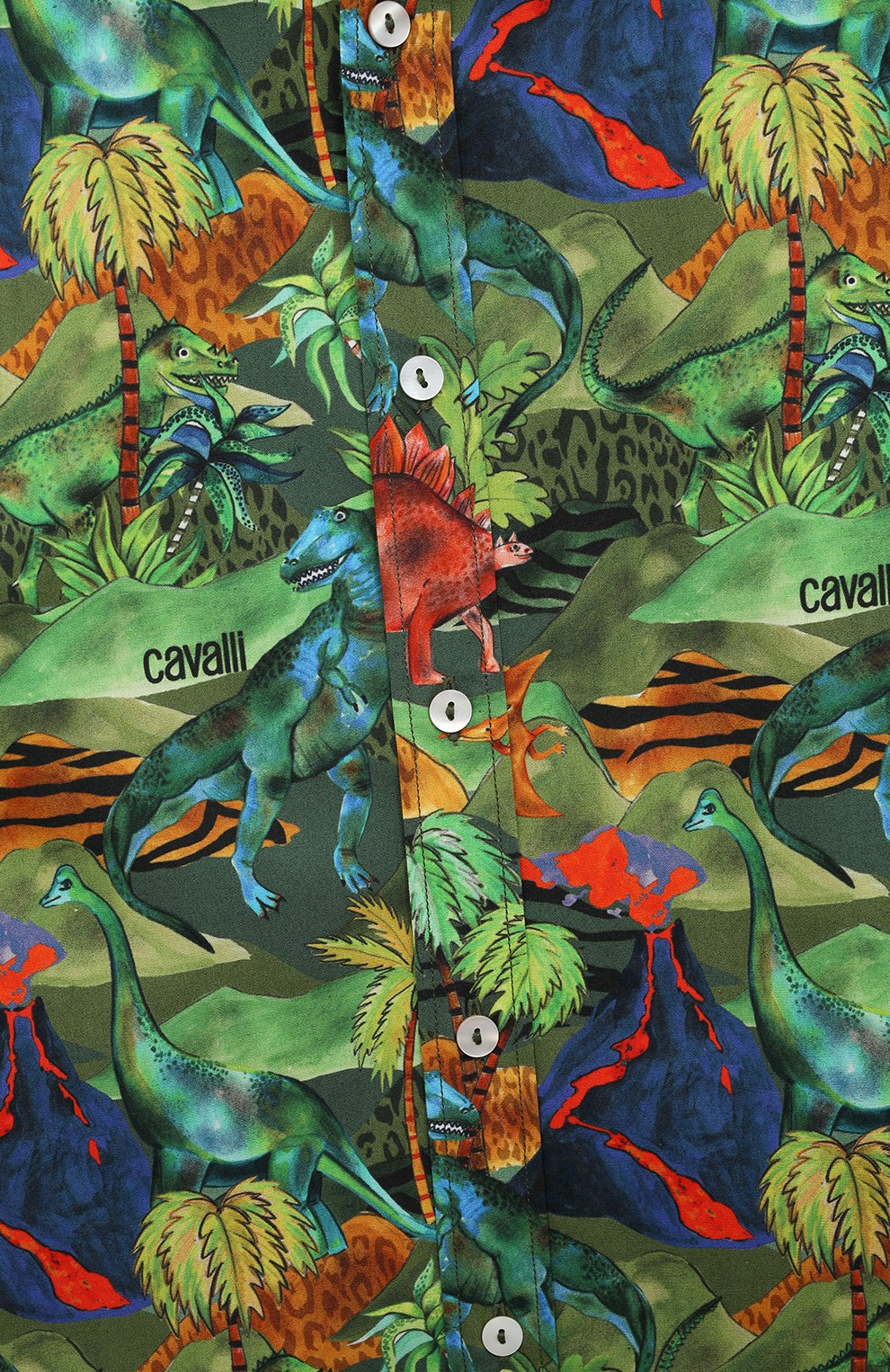 Хлопковая рубашка ROBERTO CAVALLI, арт. QJT706/4FF60/12A-14A, фото 3