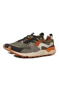 Разноцветный