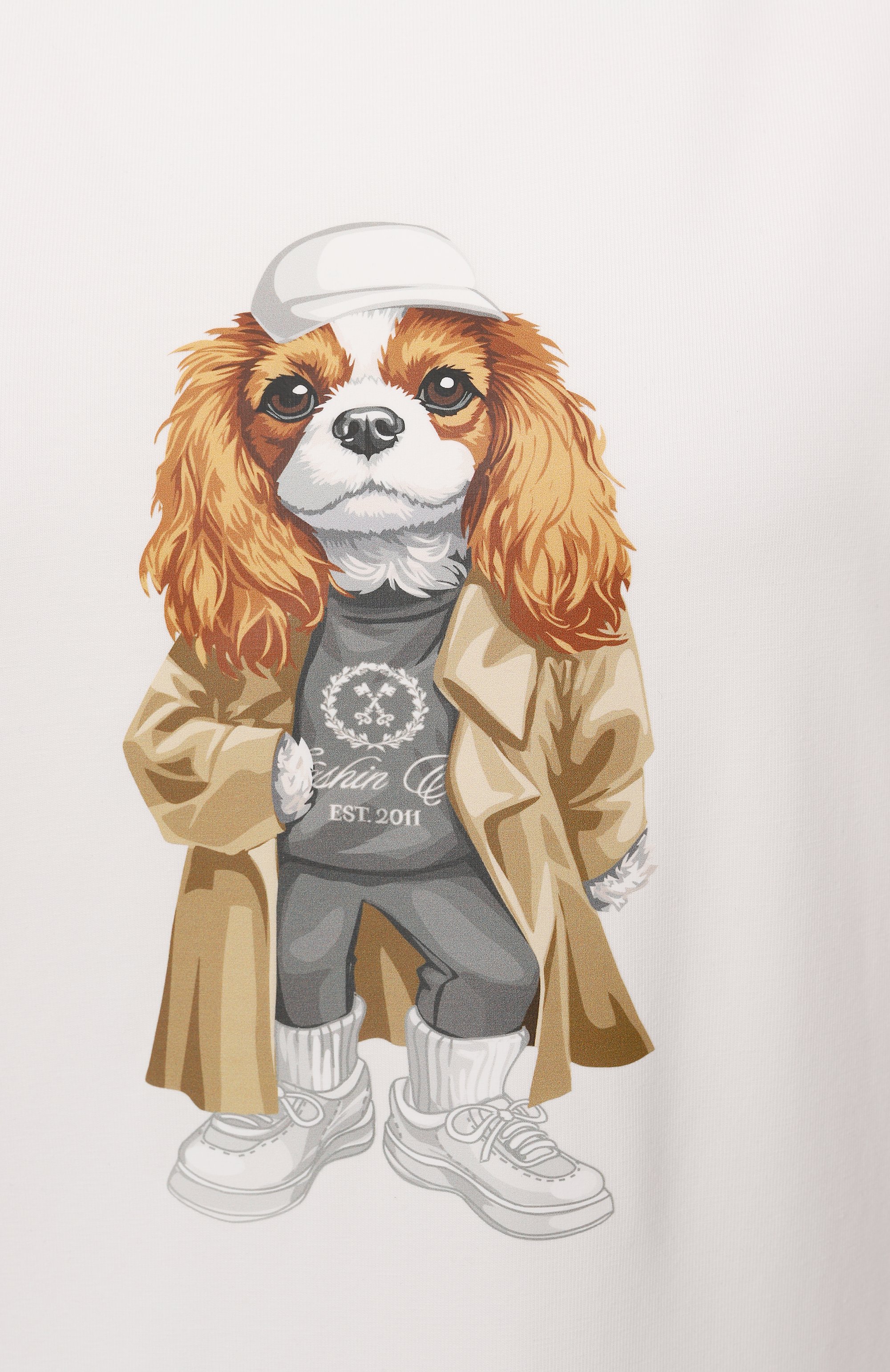 Хлопковая футболка FLASHIN, арт. FS25TB, фото 6