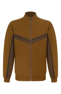 Коричневый