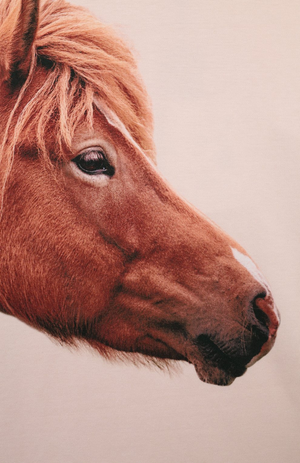 Хлопковый лонгслив MOLO, арт. 2W24J213., фото 3