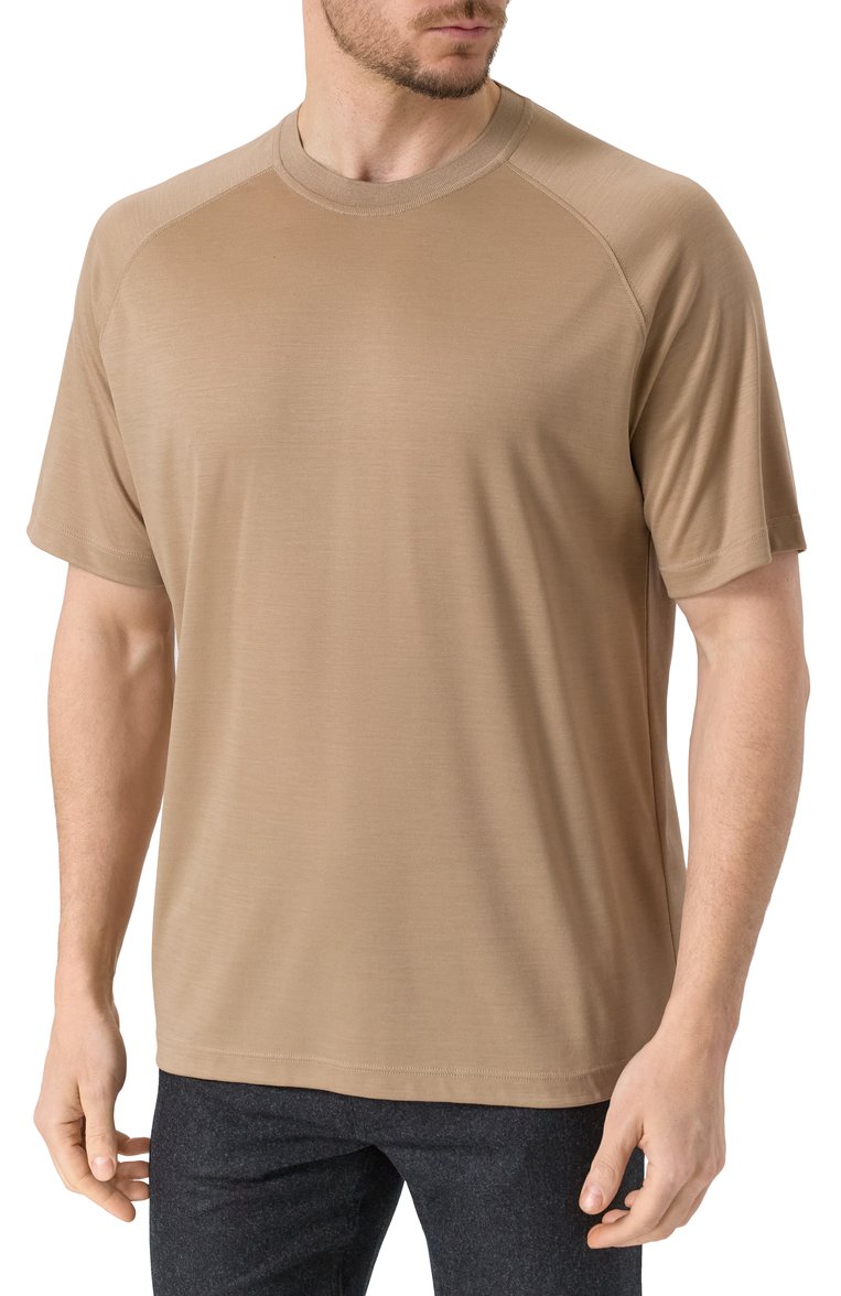Мужская шерстяная футболка ZEGNA бежевого цвета, арт. FCT706/UF328A9 | Фото 3 (Рукава: Короткие; Материал внешний: Шерсть; Длина (для топов): Стандартные; Принт: Без принта; Мужское Кросс-КТ: Футболка-одежда; Стили: Кэжуэл; Автоматизация состава: Проставлено; Детали: Без декора; Автоматизация ТО: Проставлено)