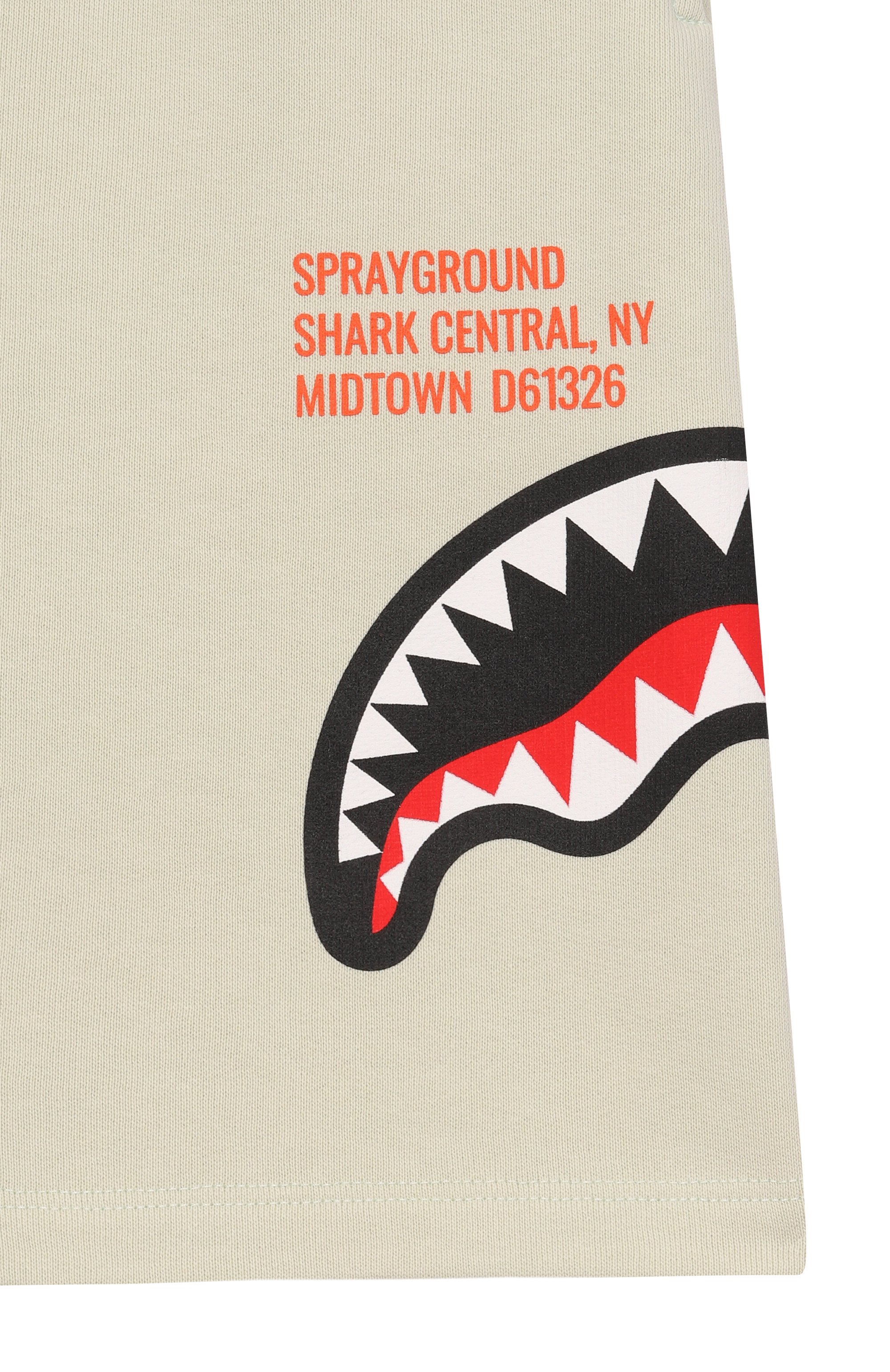 Хлопковые шорты SPRAYGROUND, арт. SPY1388ESAGE/SHARK BASIC SH0RTS SAGE, фото 3