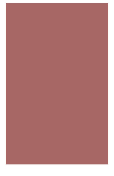 Кремовые румяна multi blush 04 CLARINS, арт. 04063410, фото 2
