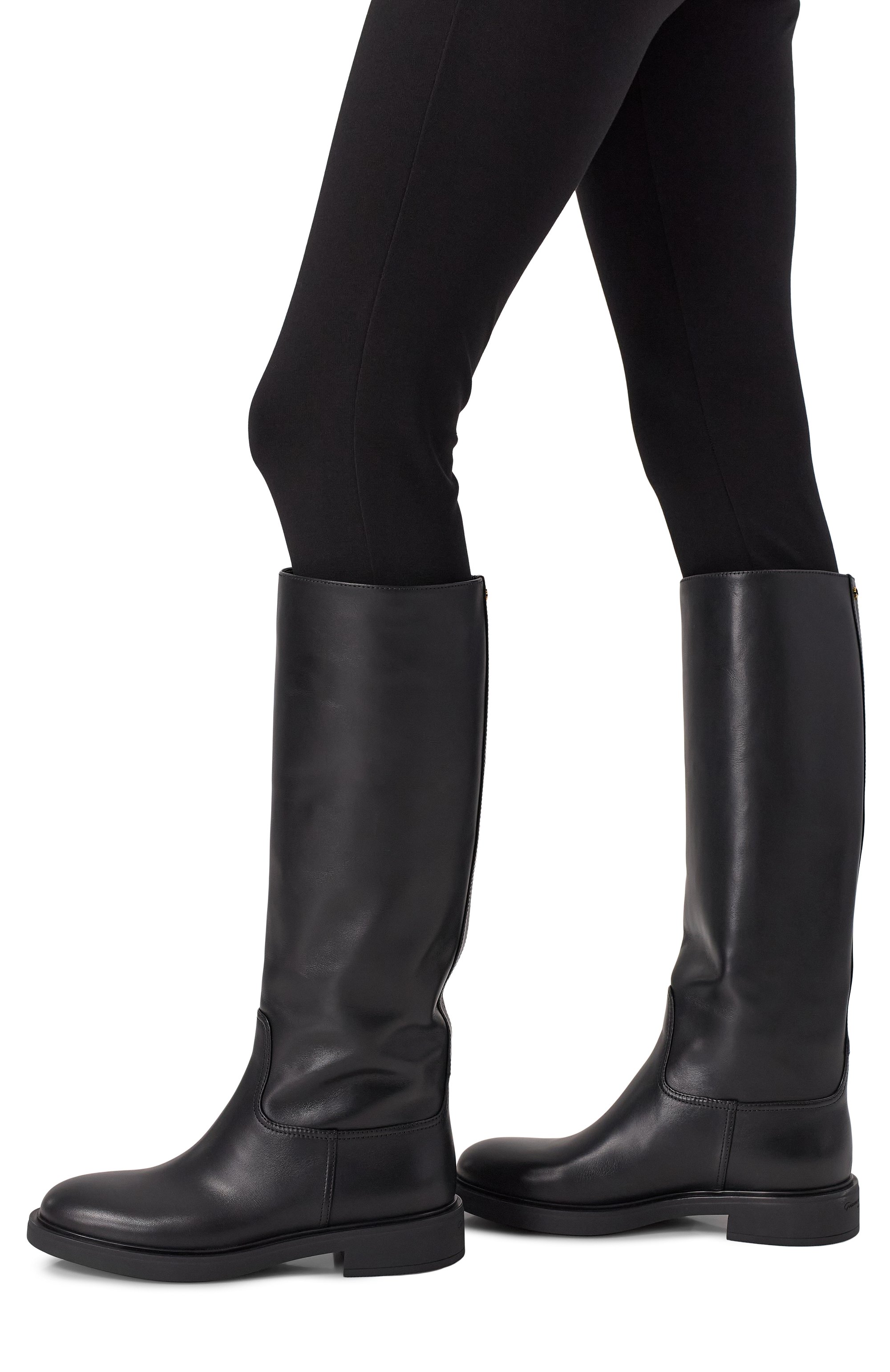 Кожаные сапоги ascott GIANVITO ROSSI, арт. G80128.20G0M.CLNNER0, фото 3