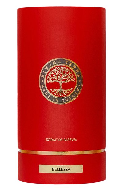 Духи bellezza (100ml) DIVINA TERRA, арт. 8016741192623, фото 2