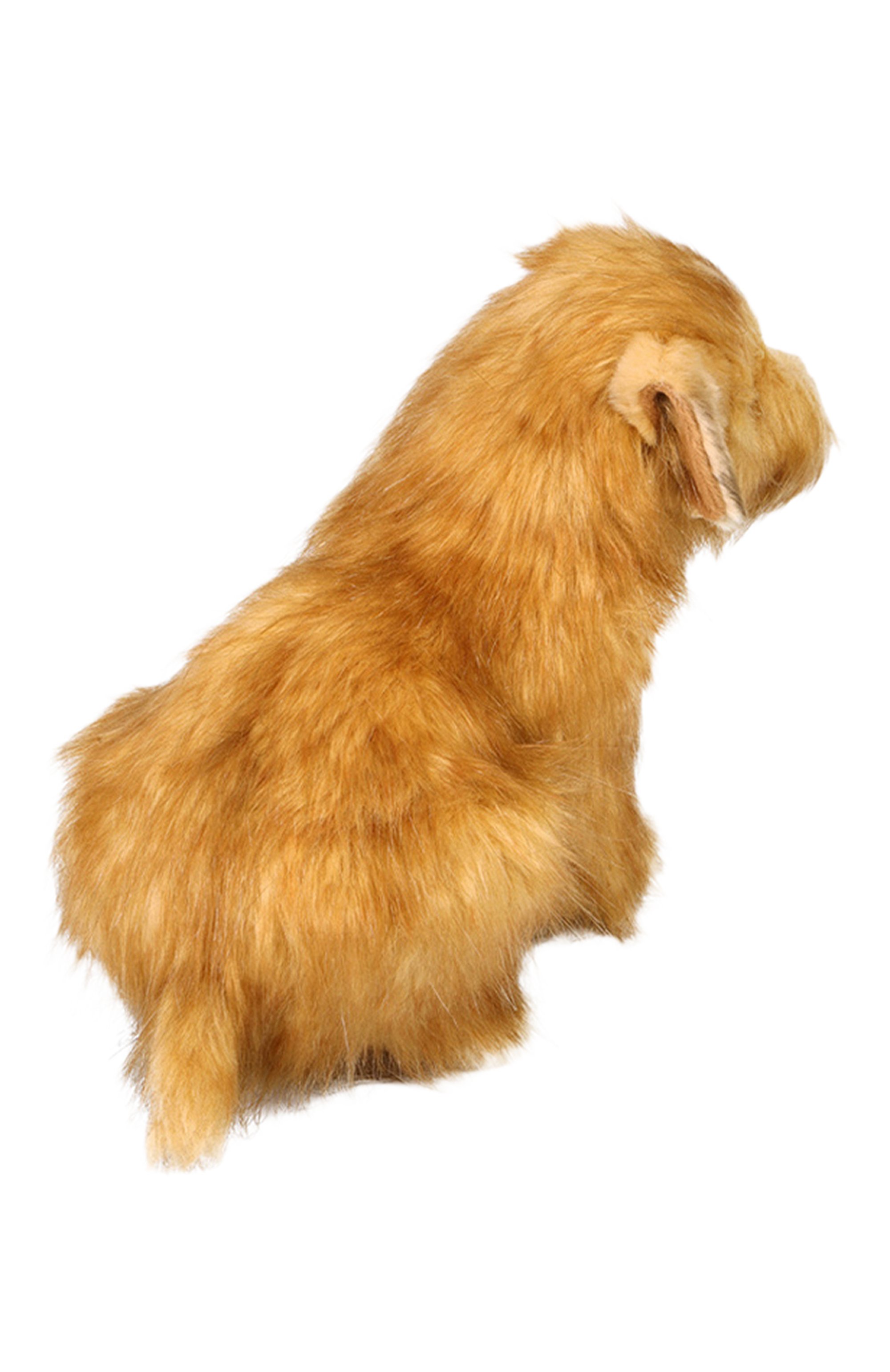 Мягкая игрушка норфолк терьер HANSA, арт. 4126, фото 3