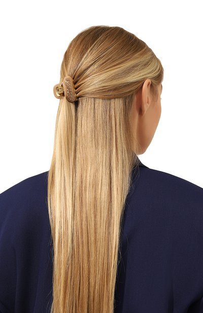 Заколка для волос ALEXANDRE DE PARIS, арт. ICC45-14339-04A22 OB, фото 2