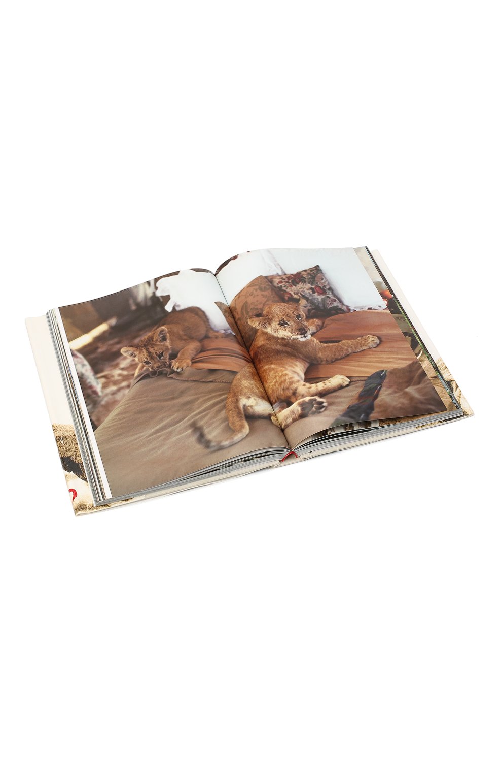 Книга ralph lauren RALPH LAUREN разноцветного цвета по цене 15450 руб., арт. D42/B00KA/M0044, фото 9 Книга ralph lauren RALPH LAUREN, арт. D42/B00KA/M0044, фото 9