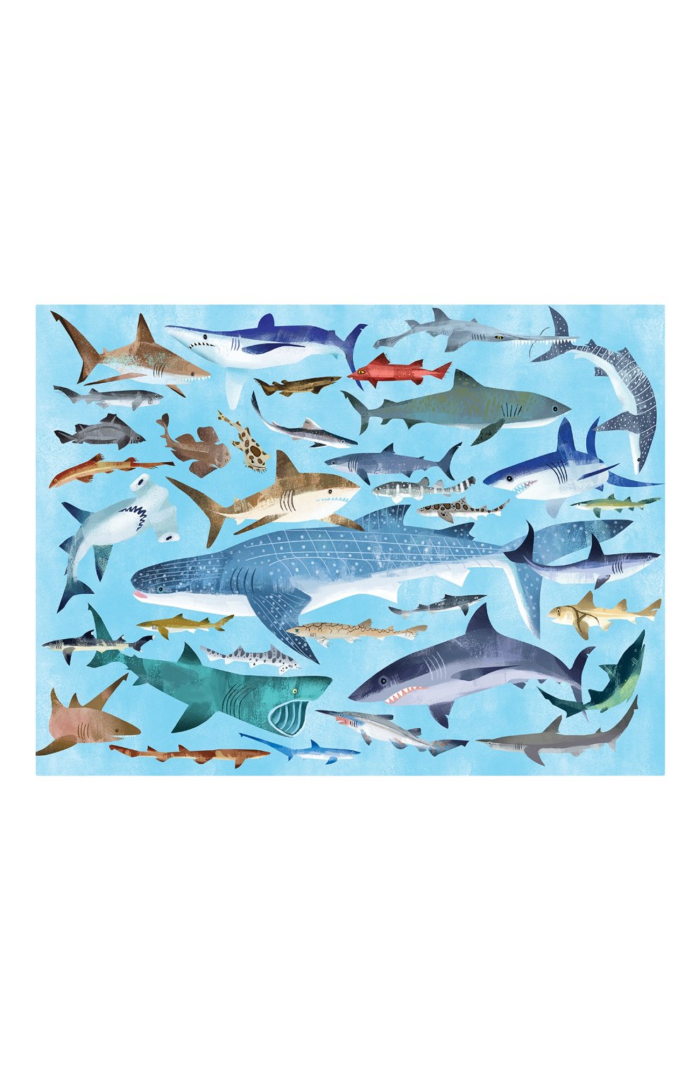 Пазл акулы 100 деталей CROCODILE CREEK, арт. 40548, фото 1