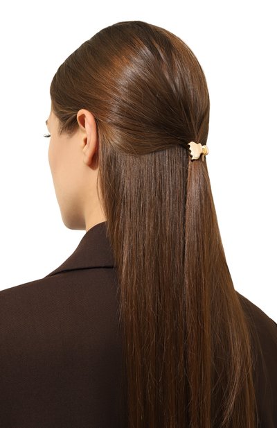 Комплект из двух заколок для волос ALEXANDRE DE PARIS, арт. ICCXS-14338-02A23 OS, фото 2