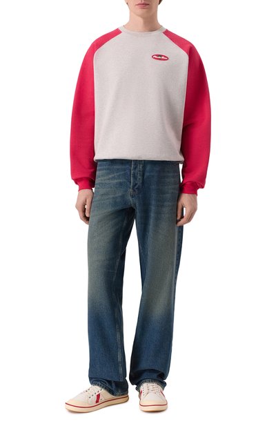 Мужские хлопковый свитшот PLANTA ROSA, арт. PR/SW/PALM/470