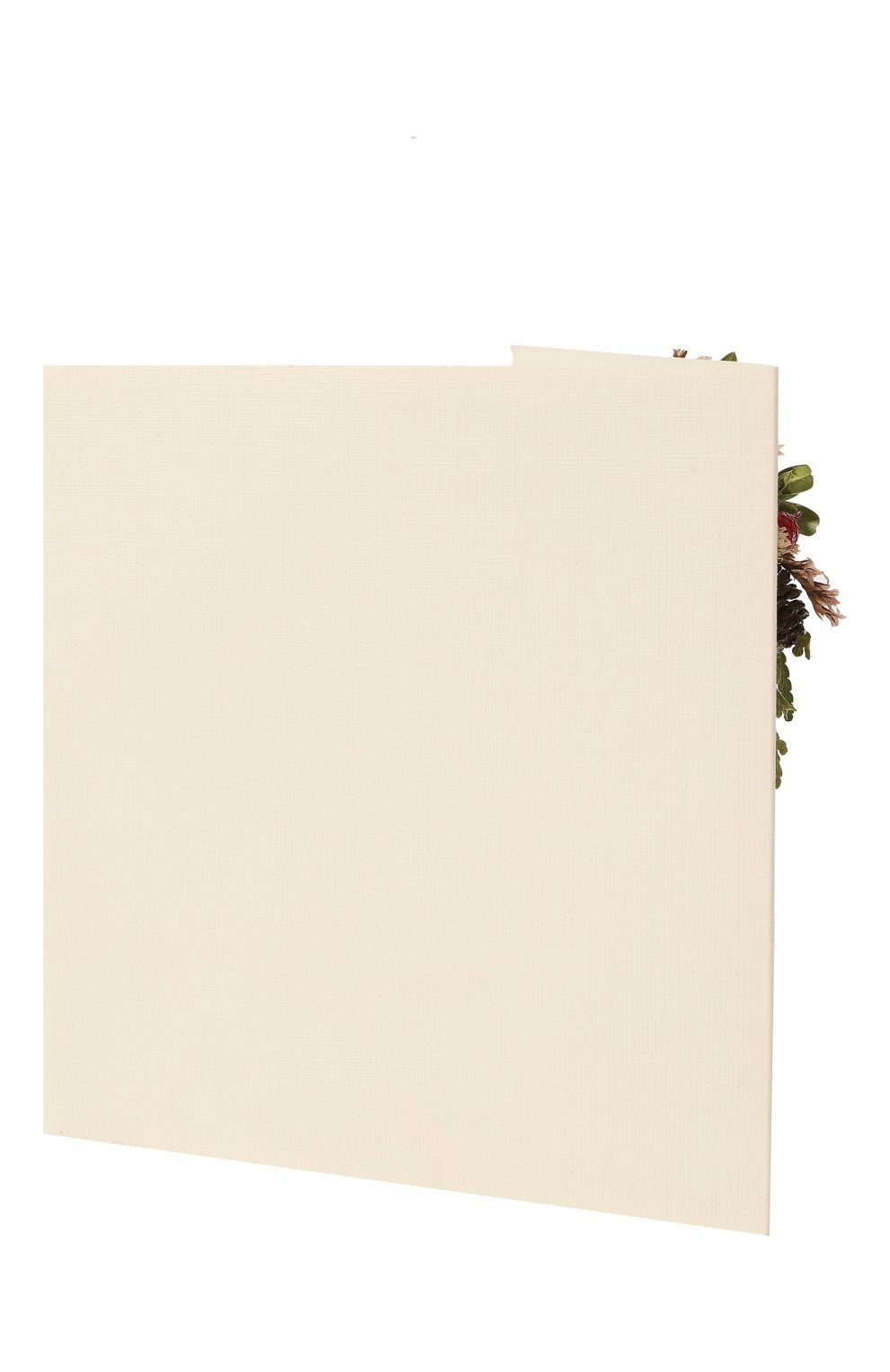 Новогодняя открытка CAROLON, арт. ОТ-004-НГ, фото 2