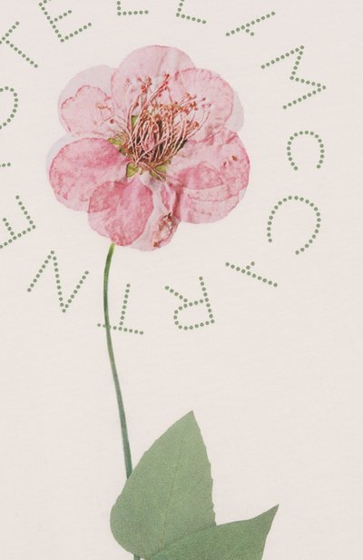 Хлопковая футболка STELLA MCCARTNEY, арт. TW8C41, фото 3