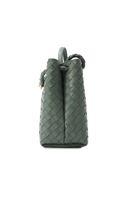 Сумка Andiamo medium Bottega Veneta 766016/VCPP Зелёный  766016/VCPP Фото 4