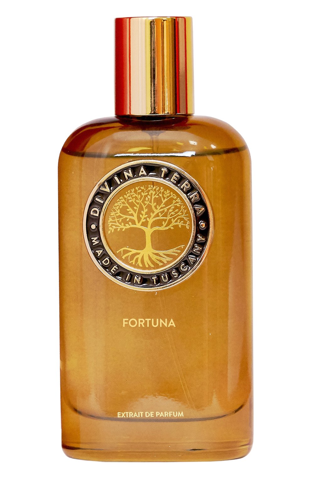 Духи fortuna (100ml) DIVINA TERRA, арт. 8016741342585, фото 1