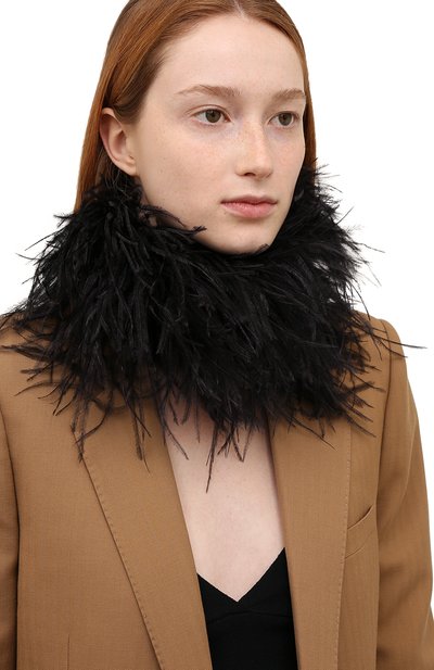 Чокер c отделкой перьями SAINT LAURENT черного цвета по цене 84550 руб., арт. 658621/3YH07, фото 2 Чокер c отделкой перьями SAINT LAURENT, арт. 658621/3YH07, фото 2
