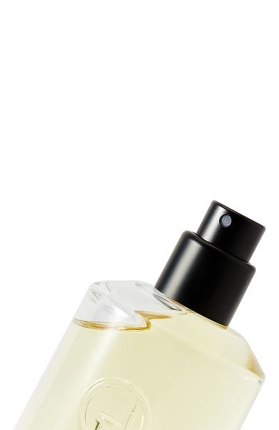 Парфюмерная вода sancti (50ml) LIQUIDES IMAGINAIRES бесцветного цвета по цене 14450 руб., арт. 3760303364977, фото 2 Парфюмерная вода sancti (50ml) LIQUIDES IMAGINAIRES, арт. 3760303364977, фото 2