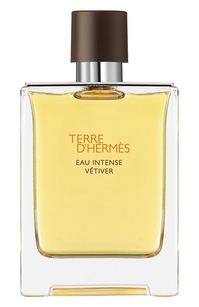 Мужской парфюмерная вода terre d&#039;hermès eau intense vétiver (100ml) HERMÈS, арт. 3346131430741