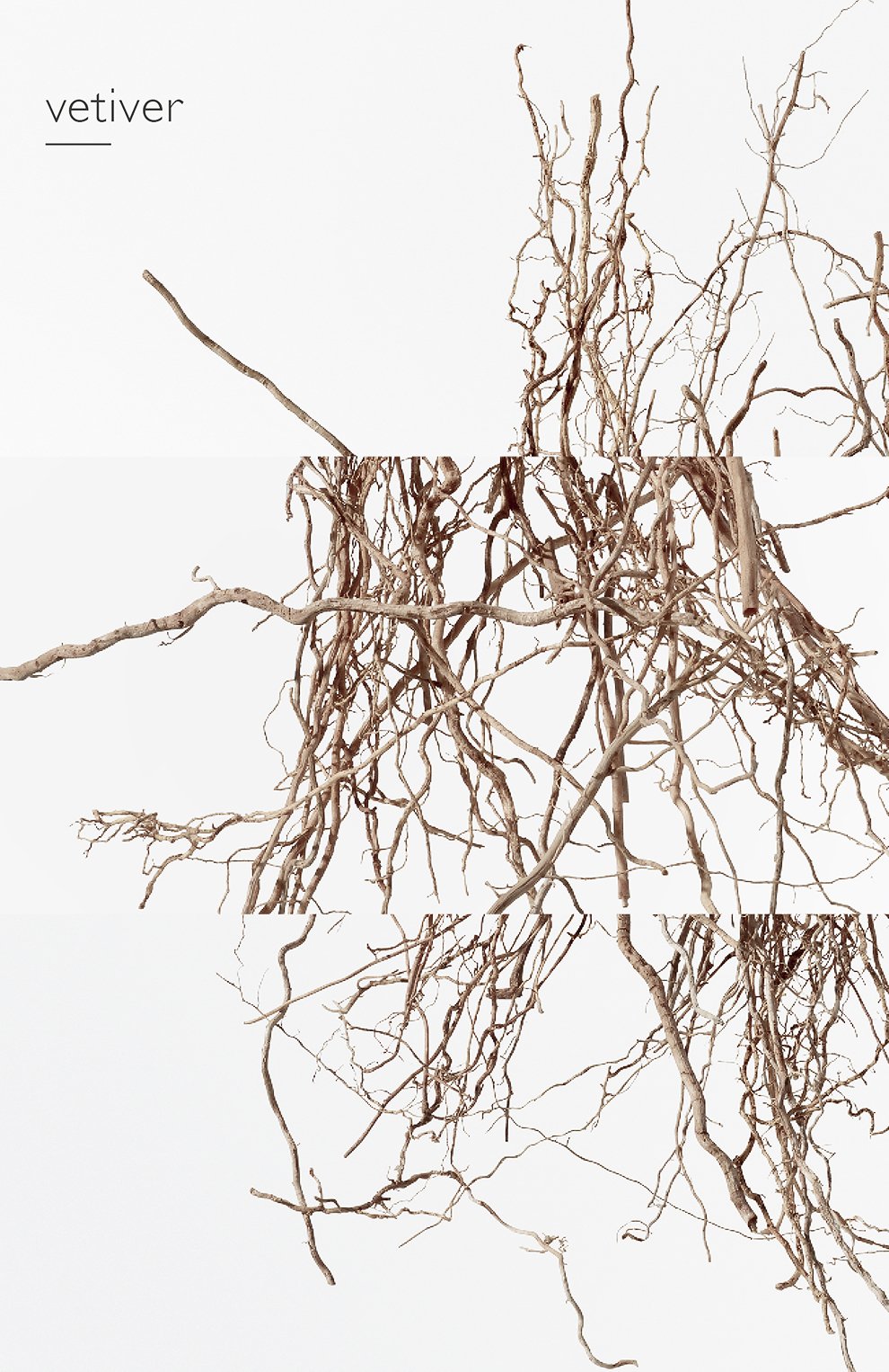 Парфюмерная вода terre d'hermès eau intense vétiver (50ml) HERMÈS, арт. 40945H, фото 7