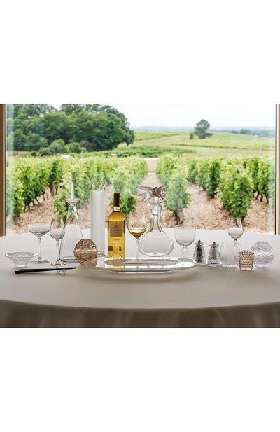 Набор из двух бокалов для воды 100 points LALIQUE, а�рт. 10331600, фото 4