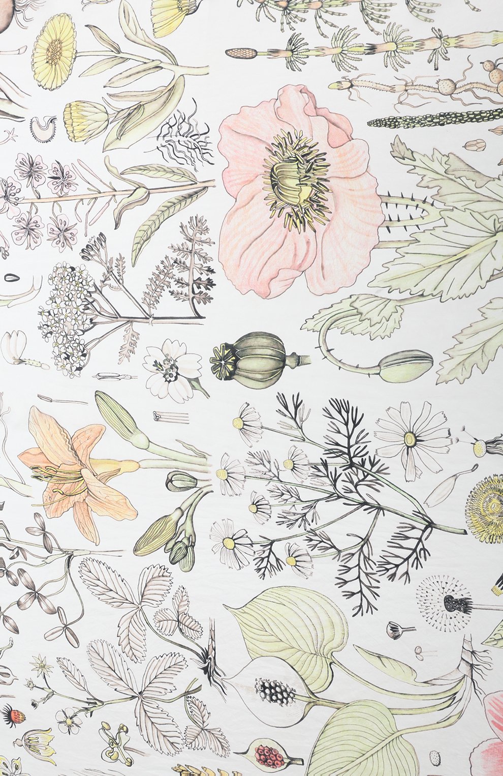 Шелковый платок гербарий GOURJI, арт. T21GERB7LR, фото 4