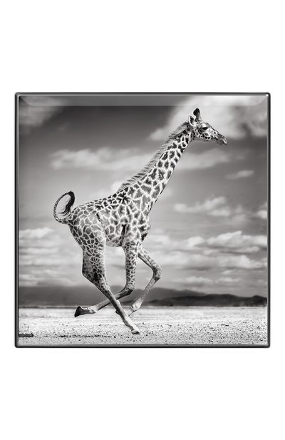 Тени для век luminescent eye shade, оттенок giraffe CHANTECAILLE, арт. 656509172061, фото 2