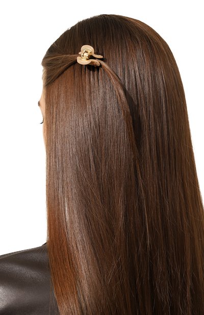 Заколка для волос ALEXANDRE DE PARIS, арт. ICCB-12831-03A22 OB, фото 2