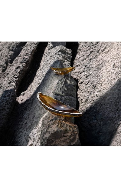 Ваза для фруктов silex LALIQUE, арт. 10847700, фото 4