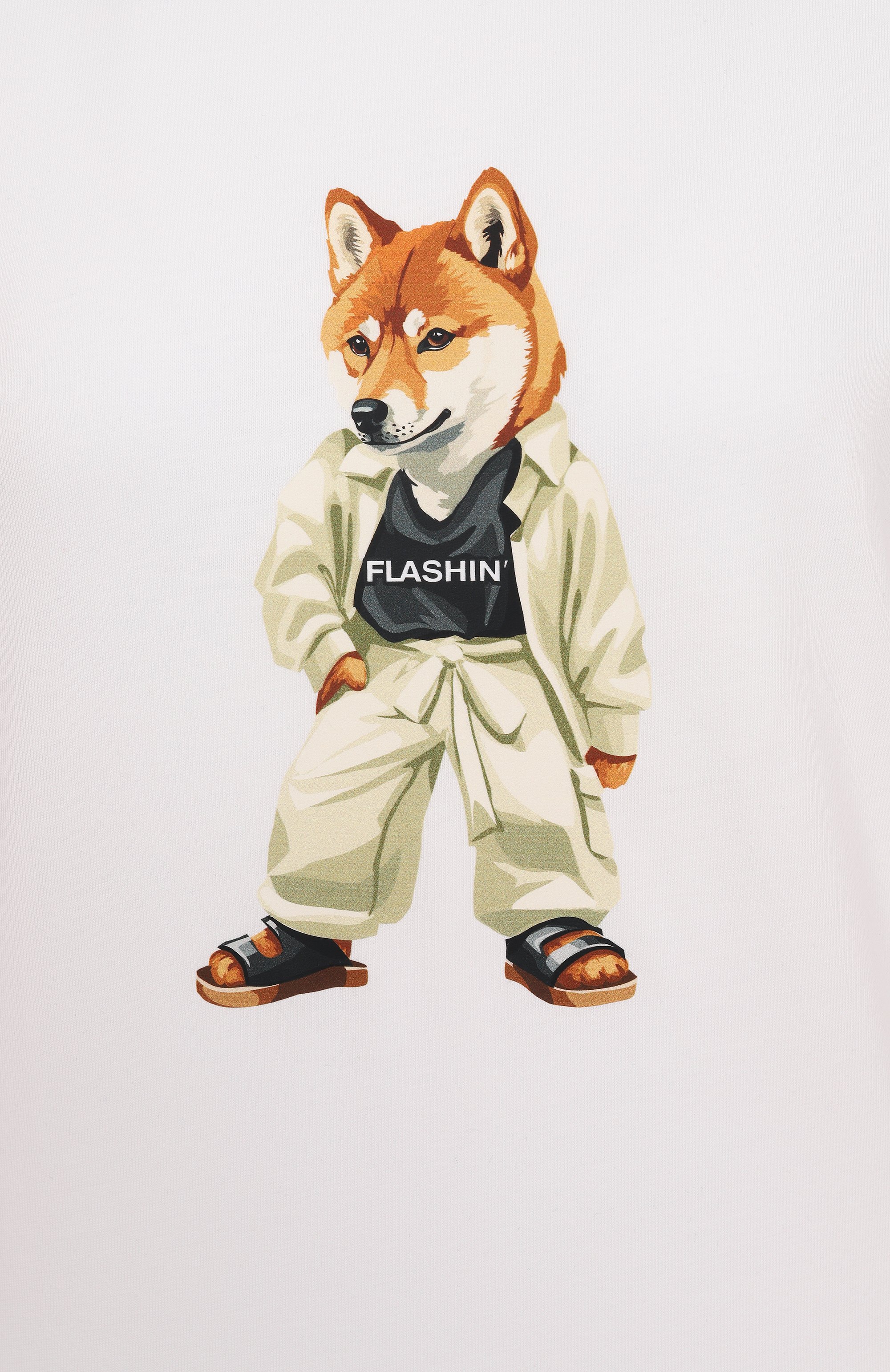 Хлопковая футболка FLASHIN, арт. FS25TBC, фото 6