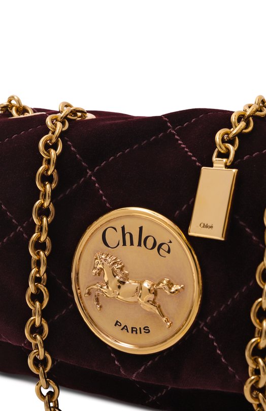 Сумка Chloé Heritage small Chloé CH25AS585P90 Бордовый  CH25AS585P90 Фото 3