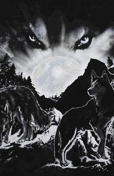 Хлопковая футболка BALMAIN, арт. 6N8581/NX330/12-16, фото 3