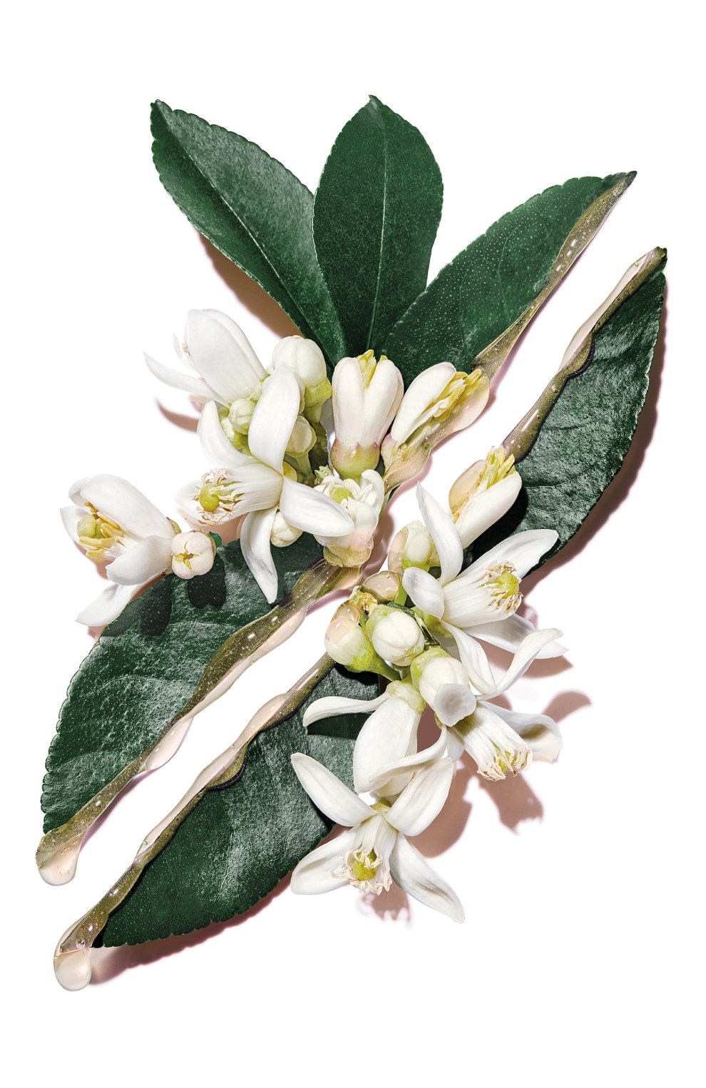 Лосьон pure shots hydra bounce (200ml) YSL, арт. 3614272354791, фото 3