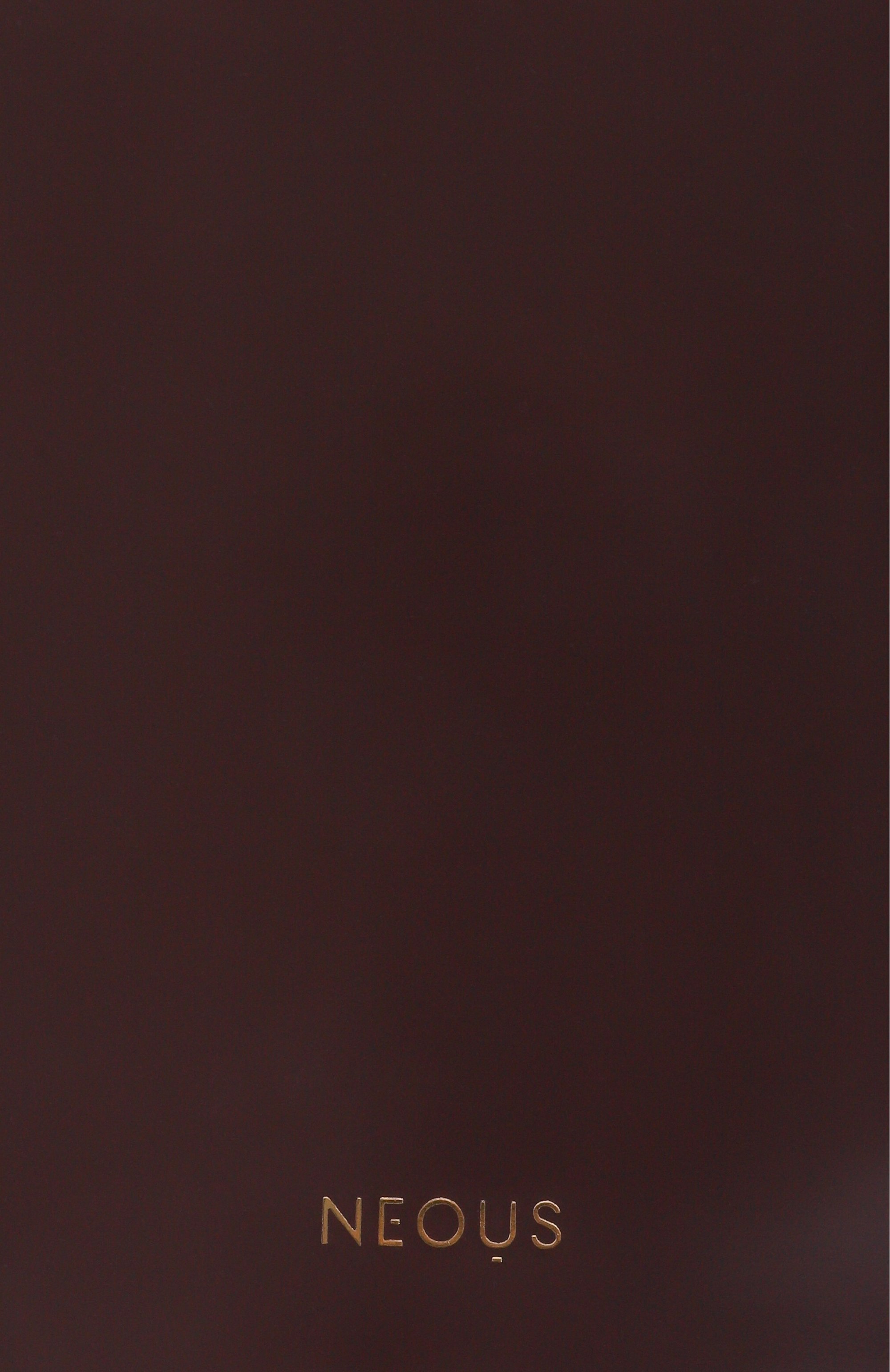 Сумка dorado 2.0 NEOUS, арт. 00045AS23, фото 3