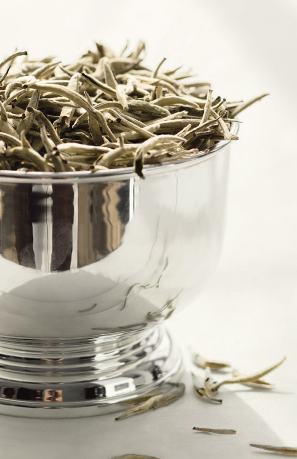 Парфюмерная вода collection white tea (100ml) RALPH LAUREN, арт. 3605970627249, фото 3