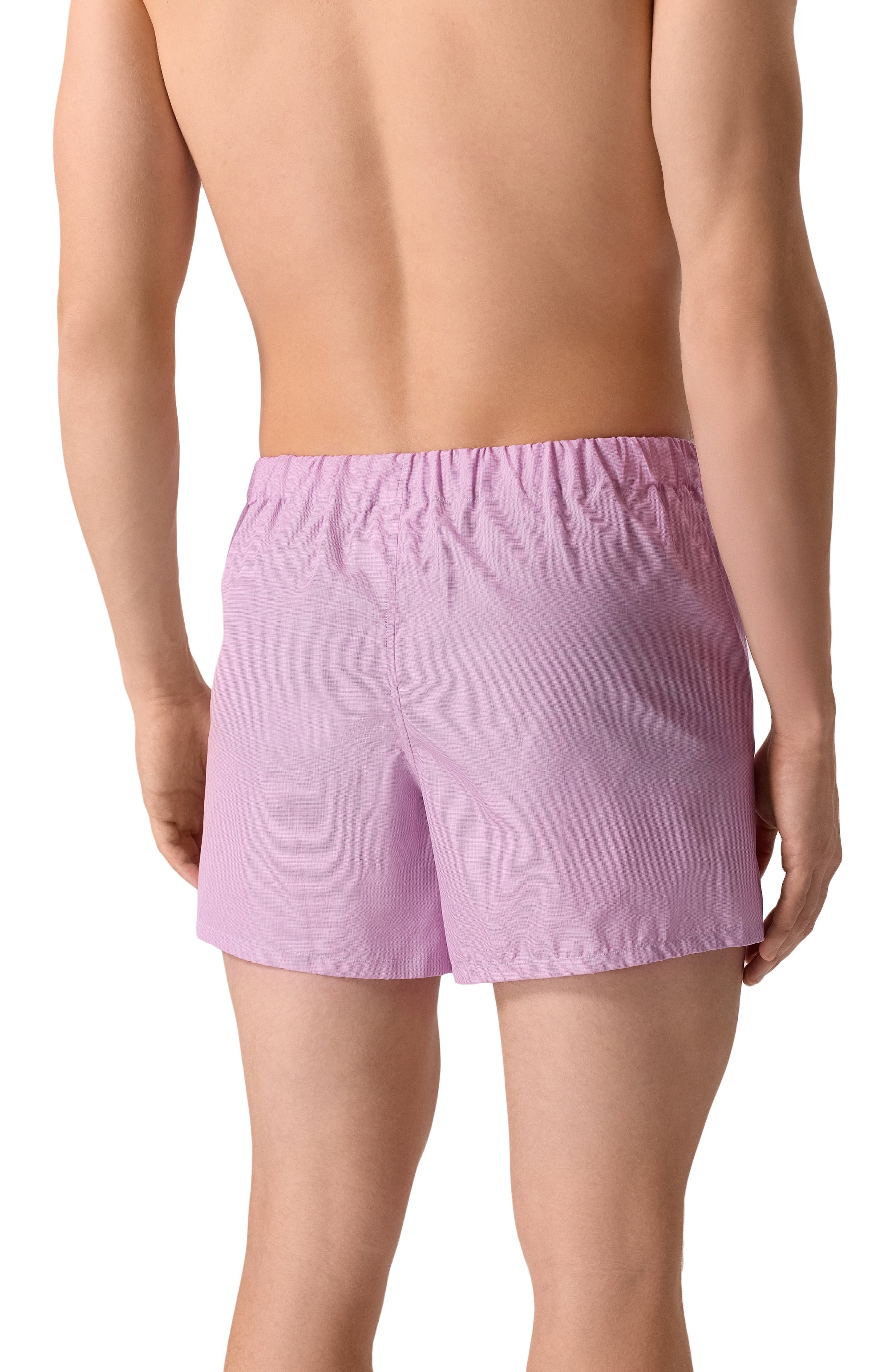 Хлопковые боксеры STEFANO RICCI, арт. BX005/BN3131, фото 3