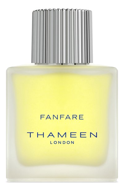 Мужской духи fanfare спрей (100ml) THAMEEN, арт. 5060905833658