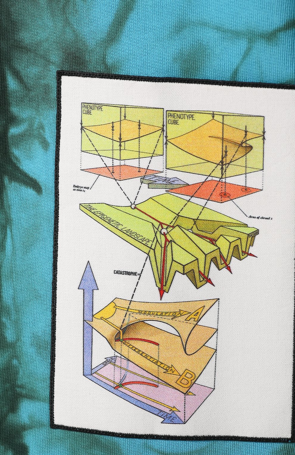 Хлопковый свитшот ACNE STUDIOS, арт. CI0024, фото 5