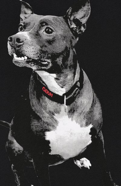 Хлопковая футболка HUGO, арт. 50416621, фото 5