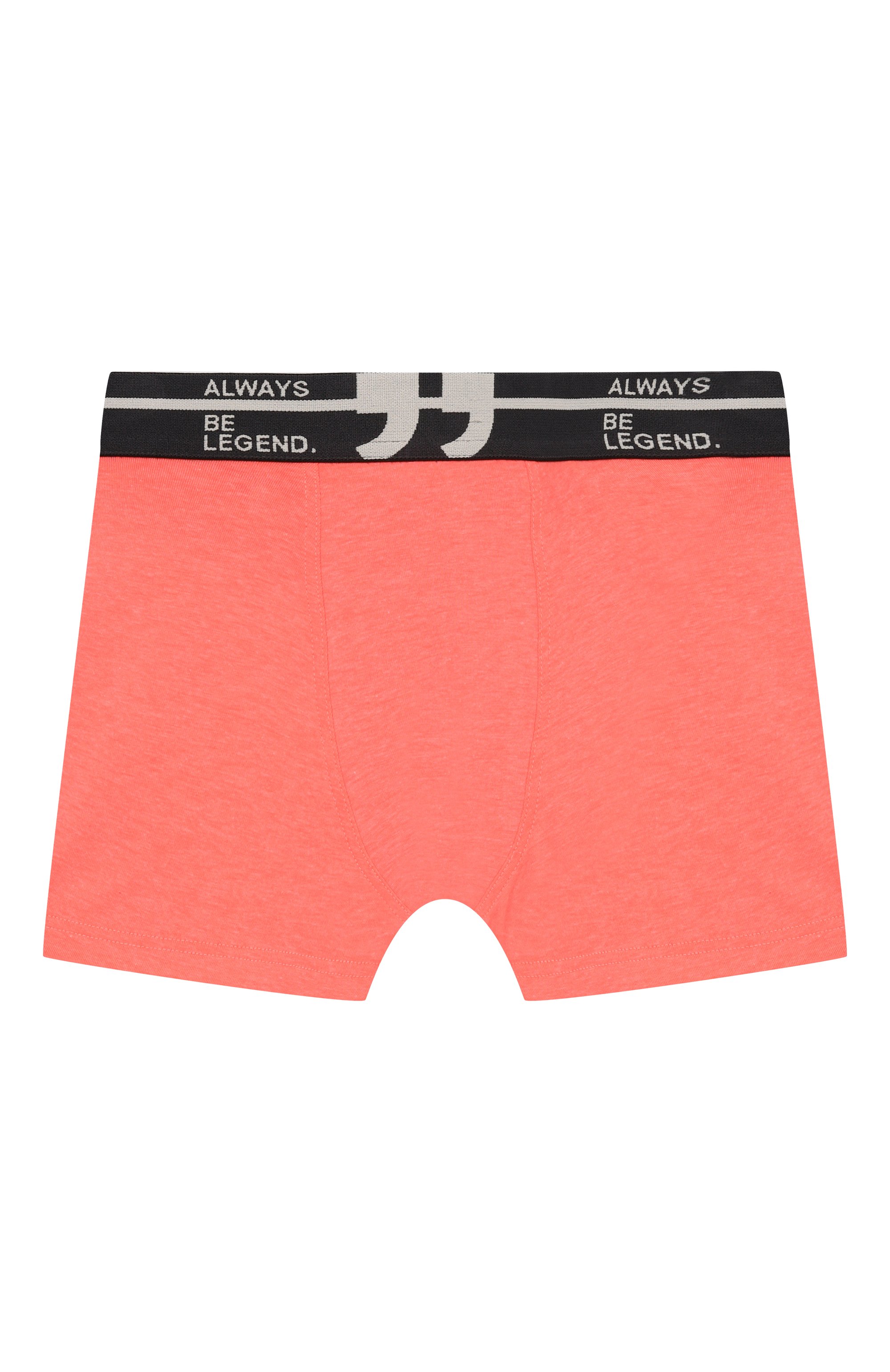 Комплект из двух боксеров SANETTA, арт. 349274, фото 4