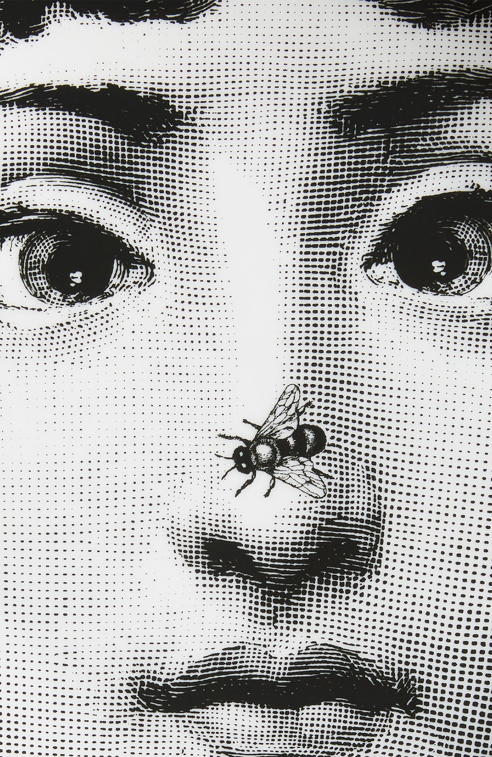 Декоративная тарелка tema e variazioni n.363 FORNASETTI, арт. PTV363X, фото 3