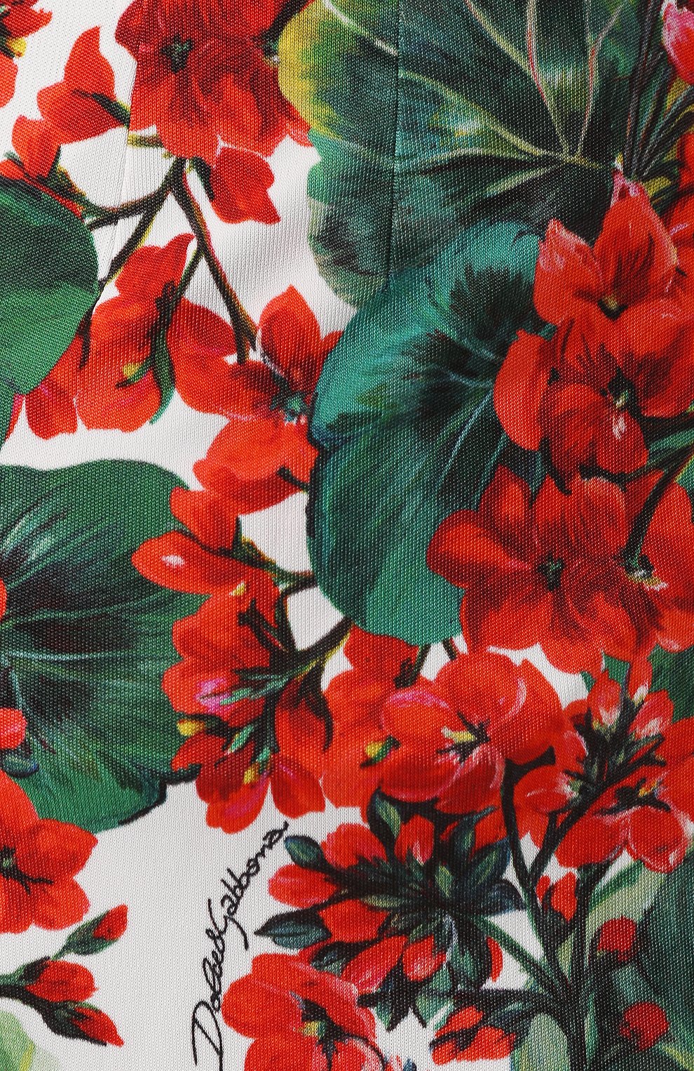 Брюки с принтом DOLCE & GABBANA, арт. FTBBCT/FSG0W, фото 5